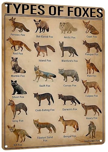 HYBLOM Vintage Types Of Foxes Metal Tin Sign - Educational and Decorative - Gift Wildlife Enthusiasts and Nature Lovers - Aluminum Poster for Home and Classroom 8x12 Inches - Image 1