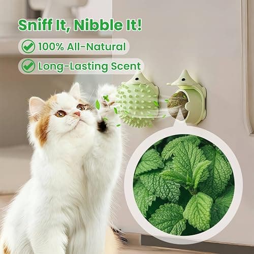 Petinstinct 6 Pcs Catnip Ball Toys with Rubbing Shell, Lickable Roller Catnip Toys for Cats Chew, Edible and Refillable Kitten Toys, Teeth Cleaning Dental Indoor Cat Treats Toys, 3 Shells 6 Balls thumbnail 4