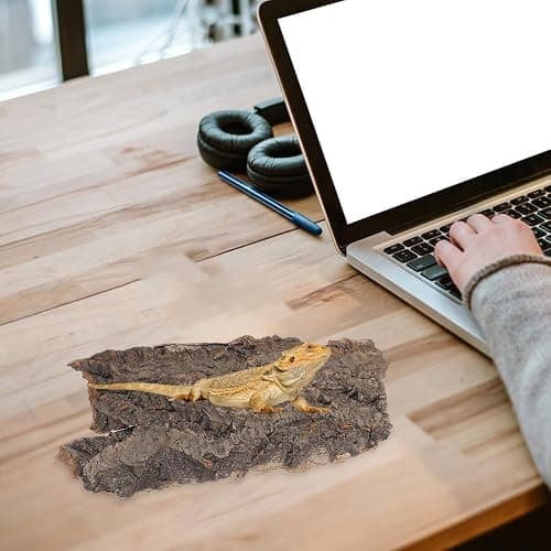 4pcs Reptile Bark Decor Wood,Natural Cork Bark, Bark Cork Hides Water Bark Flats Decor,Reptile Bark Cork Wood Bark Terrarium for Bearded Dragon Lizard Geckos Tortoise Random Shape Random Size Deliver thumbnail 7