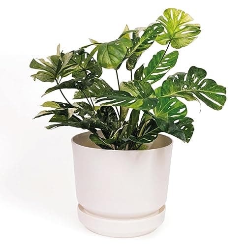 Elly Décor Cylinder Planter Pot