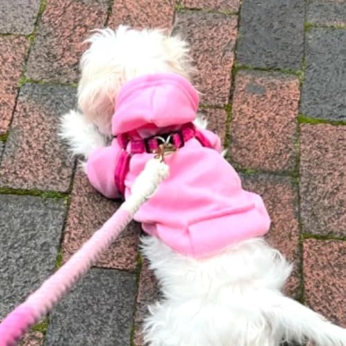 Jecikelon Winter Dog Hoodie Sweatshirts with Pockets Warm Dog Clothes for Small Dogs Chihuahua Coat Clothing Puppy Cat Custume (Pink, Medium) thumbnail 4