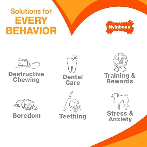 Nylabone Power Chew Original Bone Dog Toys, Chicken & Bacon Flavor, 2 Count | Large breeds, durable chew toys, discourages destructive chewing, long lasting, flavor throughout, for dogs up to 50 pounds thumbnail 7