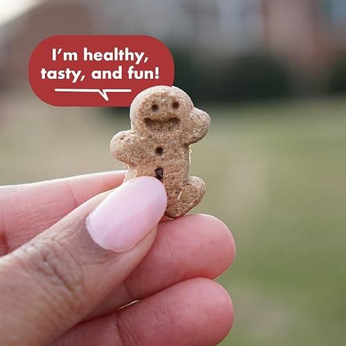 Buddy Biscuit Softies 5 oz Pouch, Grain-Free Soft & Chewy, Natural Grilled Beef Flavor Dog Treats, Oven Baked in the USA thumbnail 4
