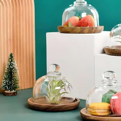 MKLZ Butter Dish with Lid, 6 inch Clear Glass Domed Cheese Dish with Handle, Large Round Butter Tray with Cover, Cute Dessert Serving Bowl for Table, Kitchen Countertop, Refrigerator thumbnail 6