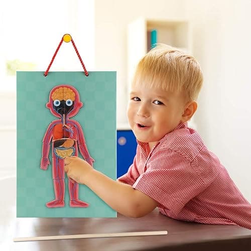 Human Body Puzzle for Kids Toddlers 90PCS Magnetic Boy Girl Anatomy Play Set Body Parts Organs Muscles Skeleton and Bones Wooden Puzzle Toys Aged 3+ Educational Learning Preschool Toys thumbnail 2