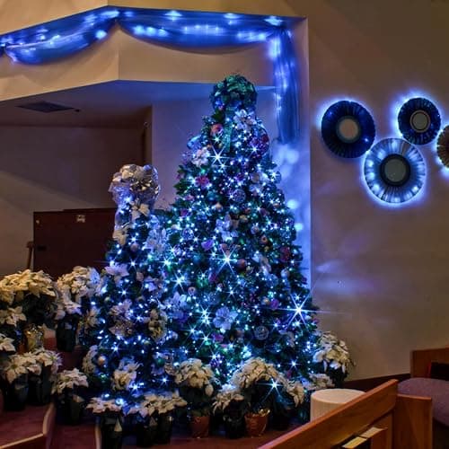 3 Pack Fairy Lights Battery Operated with Remote Control Timer, 26 FT 80 LED String Lights Outdoor Indoor Decoration, 8 Modes Twinkle Lights for Christmas Party Wedding Birthday Bedroom Décor (Blue) thumbnail 5