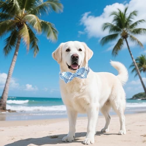Unique style paws Cotton Dog Collar with Bow Spring Summer Collar with Blue White Grid for Small Medium Large Boys Girls Dogs thumbnail 5
