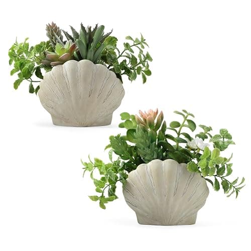 Lewondr Fake Plants Set of 2, Assorted Faux Succulents Artificial Plants with Sea Shell Pots, Artificial Greenery in Coastal Beach Decor, Ocean Seashell Series for Home Bedroom Beach Theme Party - Image 1