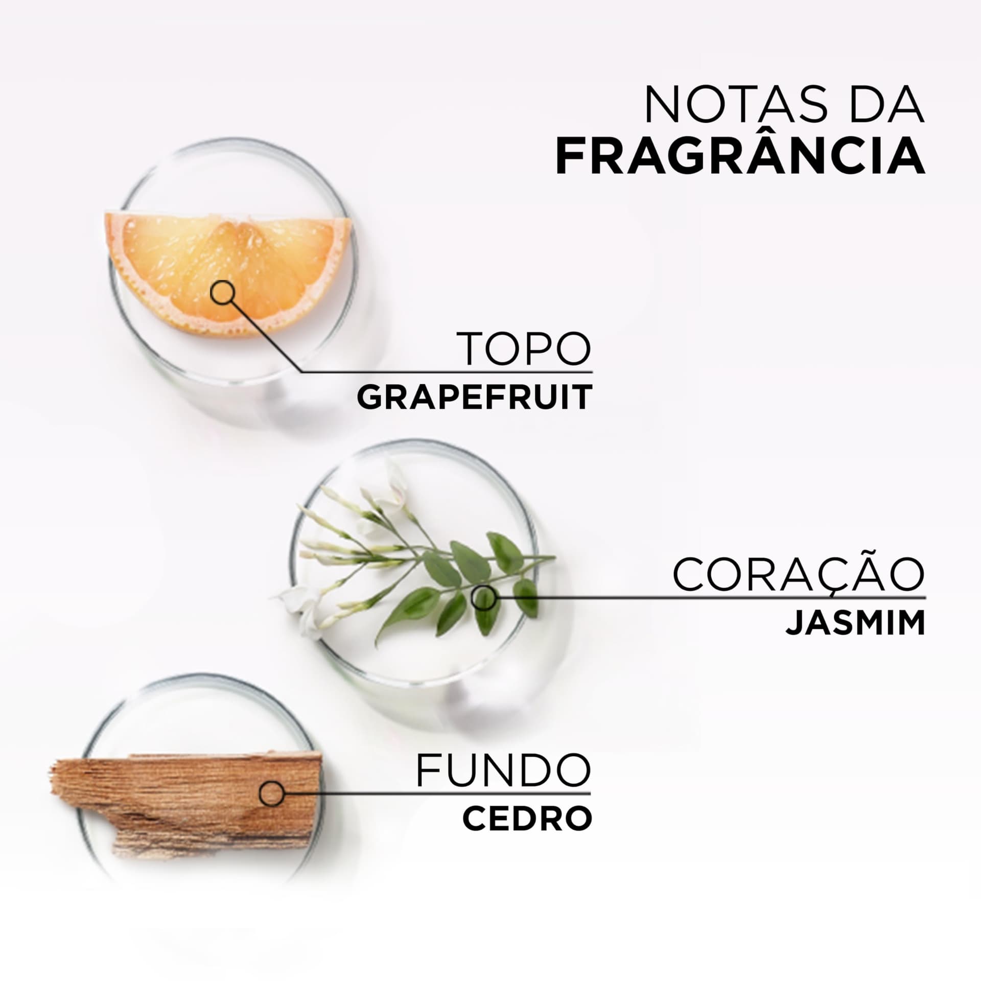 L'Oréal Paris Elseve Glycolic Gloss Máscara Capilar Antiporosidade, com Ácido Glicólico, Sela a Cutícula, Garante 3X Mais Brilho Espelhado e Maciez Intensa, 300g thumbnail 7