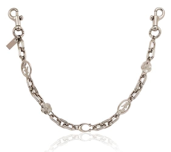 QHSOZ Bag Chain Charm for Handbag, Purse Charms Wallet Chain Charm &Jeans Chain, Vintage Bag Strap Chain Extender - Image 1