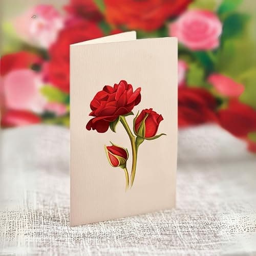 Freshcut Paper Pop Up Cards, Blooming Roses, 12 Inch Life Sized Forever Flower Bouquet 3D Popup Greeting Cards, Valentine's Day, Anniversary Card, Blank Notecard & Envelope - Blooming Roses thumbnail 4