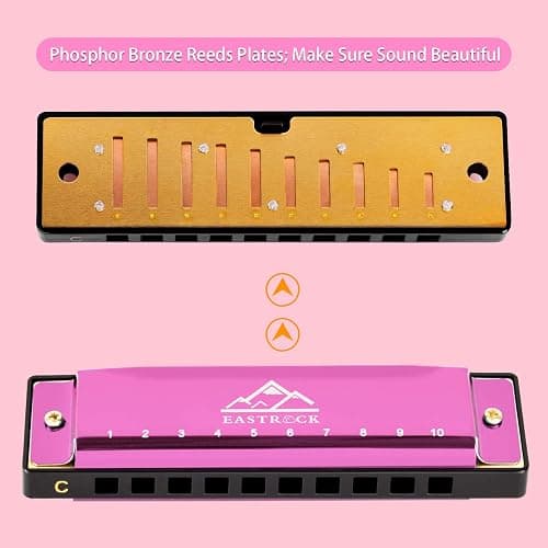 EastRock Blues Harmonica Mouth Organ 10 Hole C Key with Case, Diatonic Harmonica for Professional Player, Beginner, Students gifts, Adult, Friends, Gift(Pink）) thumbnail 3