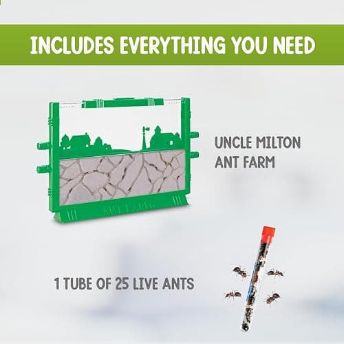 Classic Ant Farm with 25 Live Ants Shipped Now - Ant Farms for Kids with Live Ants, Includes Live Ants for Ant Farm with Connectable Habitat Kit, Interactive Learning Experience Gift thumbnail 4