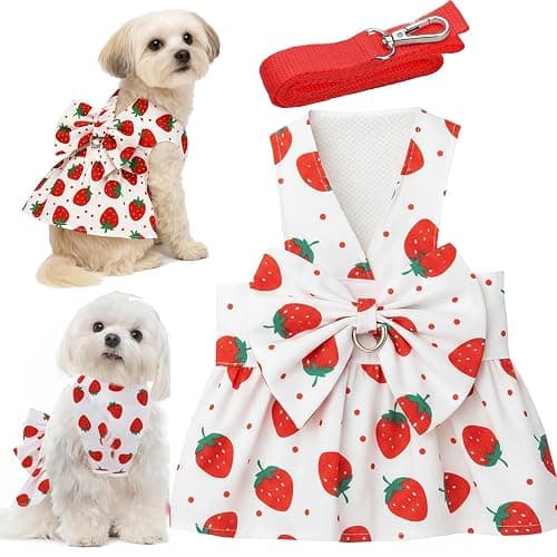 Dog Dress Bowknot Harness Leash Set for Small Dogs Red Strawberry Dog Cat Clothes Cute Puppy Outfits Pet Clothes Spring Summer Breathable Dresses(X-Samll) - Image 1