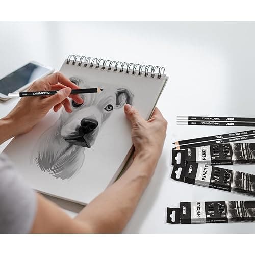 Geyoga 36 Pcs Professional Charcoal Pencils Bulk Classroom Set Soft, Medium and Hard for Drawing Charcoal Pencils for Sketching Shading Drawing Blending Portrait(Black,Assorted) thumbnail 7