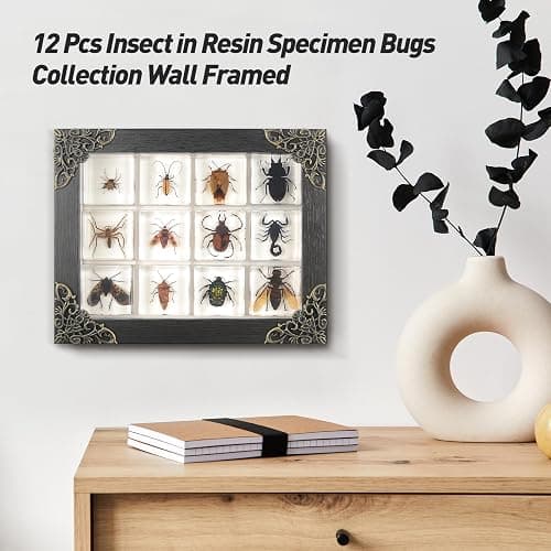 12 Pcs Insect in Resin Specimen Bugs Collection Paperweights, Resin Insects Specimen Frame Decoration for Tabletop Wall Art Decoration Scientific Educational Display Supplies (12 PCS Insects) thumbnail 7