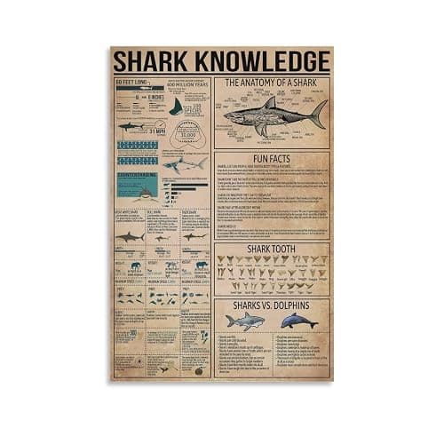 JPOSTHCZ Shark Knowledge Poster with Anatomy of Sharks Educational Canvas Wall Art Aesthetic Decorative Painting Living Roomstyle 12x18inch(30x45cm) - Image 1