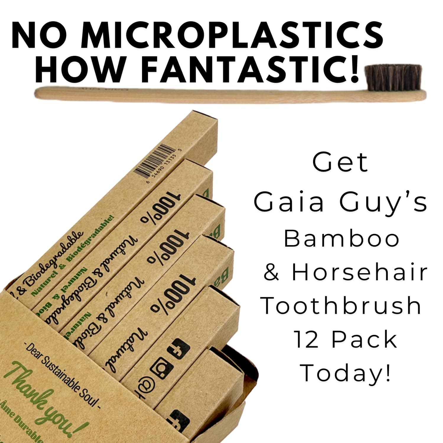 Gaia Guy Soft Natural Bristle Bamboo Toothbrush (NO Nylon - Horse Hair ONLY) - Totally Compostable & Biodegradable Soft Horsehair Bristle and Bamboo Toothbrushes - Zero Waste & Plastic-Free thumbnail 4