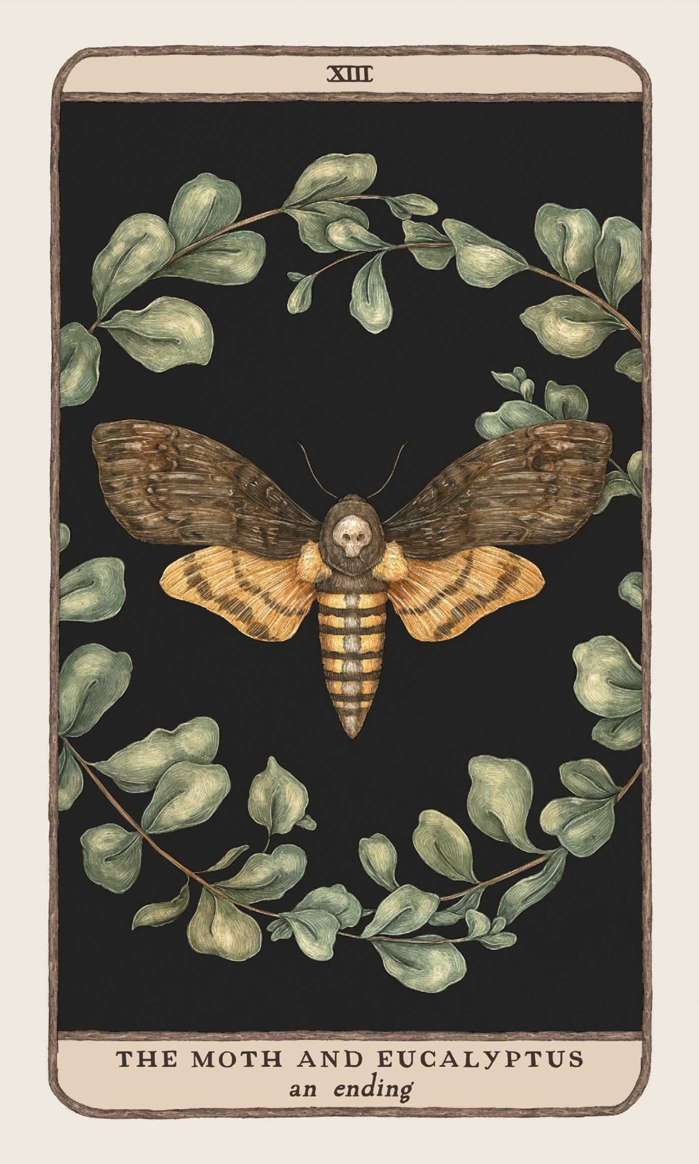 Woodland Wardens: 52-Card Oracle Deck & Guidebook thumbnail 5