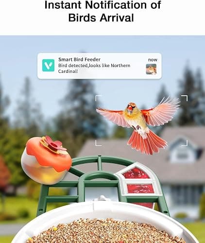 HARYMOR Bird Feeder with Camera-2K Live Video, Solar-Powered, Smart AI Identify Birds, 2L Food Capacity, Arrived Alerts, Bird Videos Storage, Mini Hummingbird Feeder for Watching Birds Outdoor thumbnail 4