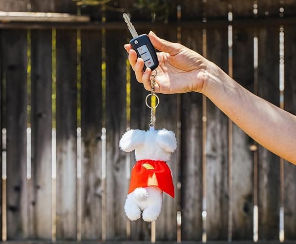 SalesOne Superman Krypto The Superdog Plush Keychain, Keyring Holder | Officially licensed, caped Krypto design, about 2 inches, metal lobster clasp secures to keys, backpacks or messenger bags thumbnail 9