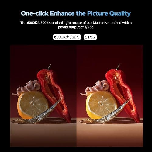 Godox Lux Master Retro TTL HSS Camera Flash,Touch Screen,Wireless Sync, Built in Battery,2.4G Wireless X System Compatible with Sony/Nikon/Canon/Fuji/Leica/Sigma/Panasonic thumbnail 8