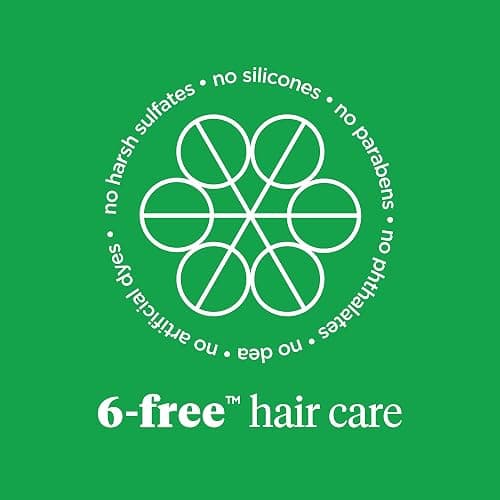 Briogeo Superfoods Avocado + Kiwi Mega Moisture Mask, Protein-Free, Deep Hydration, Enhance Shine, Moisturizing Mask for Dry Hair, Lock In Moisture, Vegan, Cruelty-Free thumbnail 8