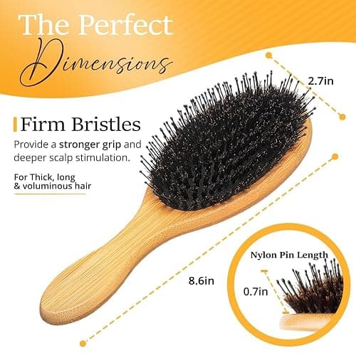 Belula Boar Bristle Hair Brush - Hair Brushes for Women & Mens Hair Brush, Detangler Brush, Hairbrush, Detangling Brush for Long, Curly or Any Type of Hair. thumbnail 8