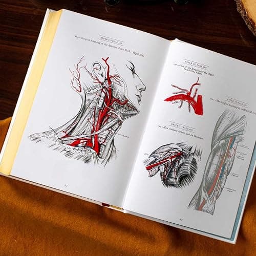 Gray's Anatomy: Anatomy Descriptive and Surgical (Leather-bound Classics) thumbnail 6
