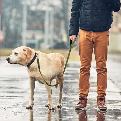 Fida 6 FT Heavy Duty Dog Leash with 2 Comfortable Padded Handles, Traffic Handle & Advanced Easy Snap Hook, Reflective Walking Lead for Large, Medium & Small Breed, Green thumbnail 7