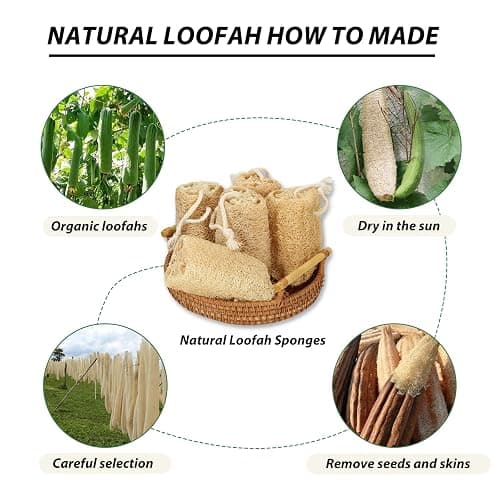Balifeel Organic Natural Loofah Sponges 4.7'' Luffa Spa,Pack of 4 Exfoliating & Smooth Skin Bath Shower Loofas Loofa for Women and Men Body Scrubber thumbnail 6