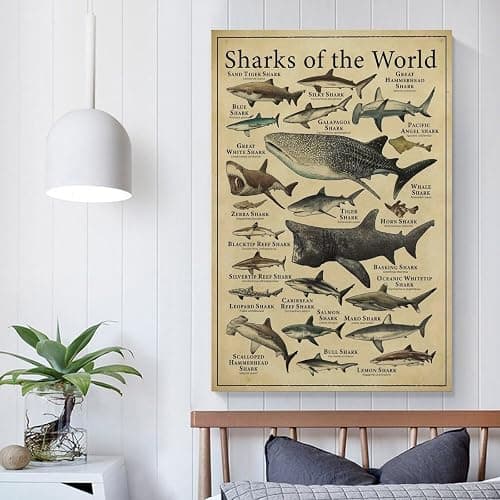 CYPGTBCK Types of Shark Poster Shark Knowledge fishing Education fish Canvas Art Poster And Wall Art Picture Print Modern Family Bedroom Decor Posters 12x18inch(30x45cm) thumbnail 5