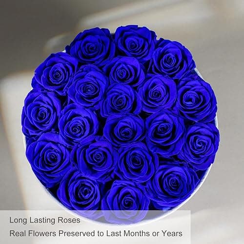 Preserved Roses Flower Box, Luxury Velvet Box with 20 Roses, Preserved Flowers, Romantic Gift for Her, Wife, Girlfriend, Birthday Anniversary Christmas (Royal Blue) thumbnail 6