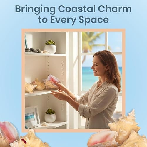 Conch Shell Decor - Seashell Decor - 6-8" Large Sea Shell - Shells for Decoration - Large Seashells for Crafts - Magic Conch Shell Room Decor thumbnail 2