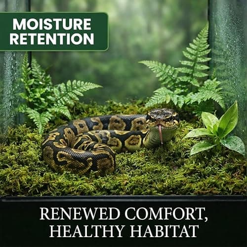 Sukh Sphagnum Moss for Reptiles & Plants - Terrarium Moss Substrate, 5oz | Habitat Bedding for Gecko, Snake, Turtle, Frog, Bearded Dragon, Jumping Spider, Chameleon, Enclosure & Tank Accessories Decor thumbnail 2