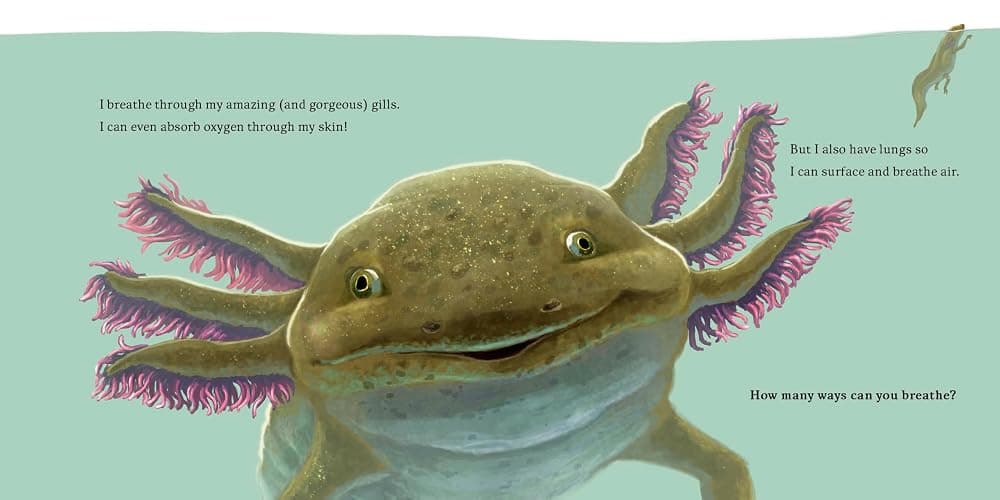 Hello, I'm an Axolotl (Meet the Wild Things, Book 4) - Hardcover thumbnail 2