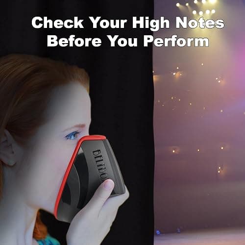 BELTBOX: Vocal Dampener for Singers, Actors, Performers, Stress Relief. A Portable Warm-Up Room. thumbnail 2