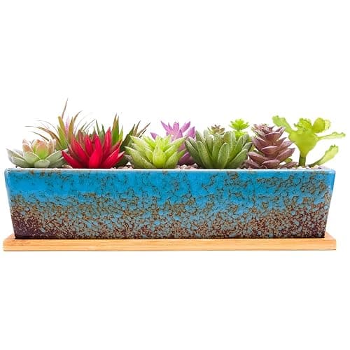 Succulent Pots - 12.1 Inch Large Succulent Planters Pots with Drainage Tray, Long Rectangle Ceramic Pot for Indoor Cactus/Succulent Plants Shallow Bonsai Window Box for Home Garden Decor (Blue) - Image 1