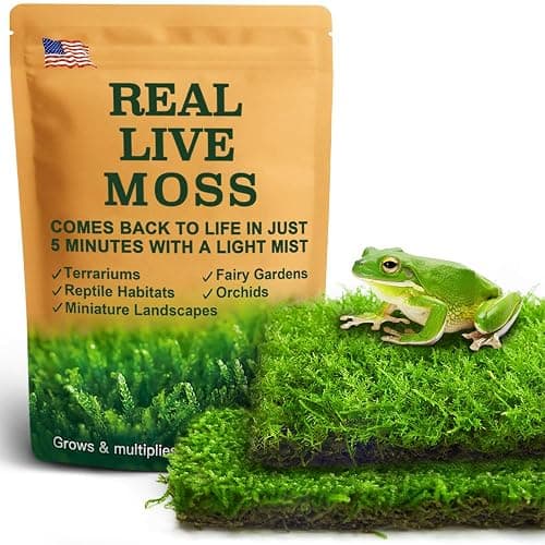 Live Moss Duo Pack 2 Types of Real Live Sheet/Sphagnum Moss for Terrariums, Terrarium Mosses Landscaping, Reptile Tank Accessories, Snake & Gecko Humidity Substrate Mosses for Crafts & Plant Décor - Image 1