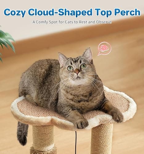 Made4Pets Kitten Toy Scratching Post with Self Groomer for Indoor Cats | Interactive Cat Scratching Post with Self Groomer, Cloud Perch, Natural Sisal Rope and Rolling Ball Track, Modern Home Décor thumbnail 6