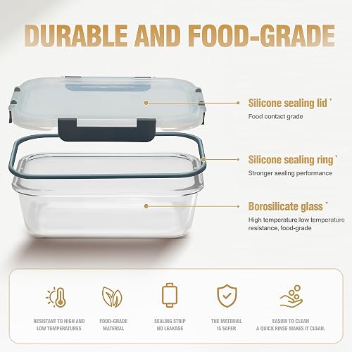 WWYH.DSS 10-Pack Meal Prep Containers with Snap Locking Lids, Glass Airtight Lunch, Food Storage Containers, Microwave, Oven, Freezer and Dishwasher Friendly, Gray thumbnail 3