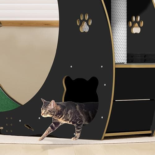MilleLoom 4-in-1 Cat Running Wheel, Large Cat Treadmill,Large Quiet Exercise Wheel with Scratching Pad & Play Roller,Stable Wood Base for Indoor Cats thumbnail 5