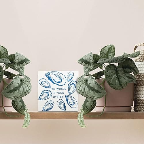 OVAcational Coastal Beach Oyster Wooden Box Sign Desk Decor, Ocean Room Decor, Nautical Oyster Shell Wood Block Sign for Beach House Bedroom Desk Table Shelf Wall Decorations, 5x5 Inch thumbnail 4