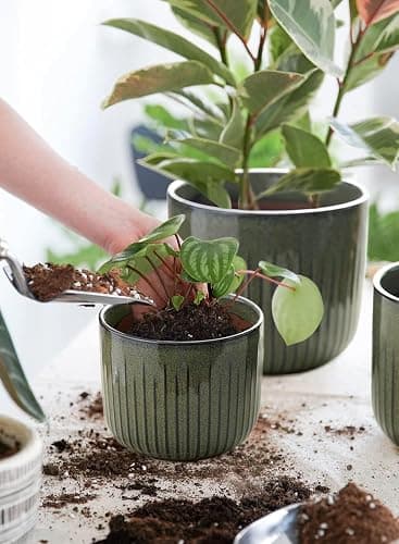 LE TAUCI Fluted Ceramic Planters Set of 3 – 8.3 / 7 / 5.7 in Dark Olive Reactive Cylinder Indoor Plant Pots with Drainage Plug & Mesh, Glossy Stoneware Flower Pots for Succulents Herbs - Reactive Glaze Dark Olive thumbnail 6