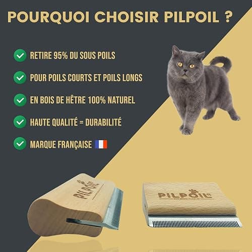 Pilpoil Pack Pro – Brosse Anti-Mue pour Chat et Lapin Poil Court en Bois + Raclette Anti-Poils Animaux – Accessoire de Toilettage – Taille S thumbnail 4