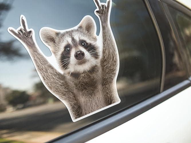 Rocking Raccoon Sticker, Funny Raccoon Cute Car Decal 5.5-Inches Decal Car Laptop Wall Window Bumper Sticker AWPS109 thumbnail 3
