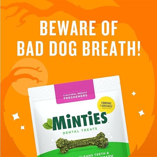 Minties Dental Chews for Dogs, 40 Count, Vet-Recommended Mint-Flavored Treats for Tiny/Small Dogs 5-24 lbs, Dental Bones Clean Teeth, Fight Bad Breath, and Removes Plaque and Tartar thumbnail 2