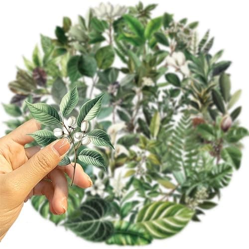 50PCS Transparent Leaf Stickers Pack,Aesthetic Nature Plant Decor for Laptop Gifts for Kids Teens Adults Waterproof Vinyl PET Nature Stickers for Notebook Phone Bike Party Favors (Green) thumbnail 7