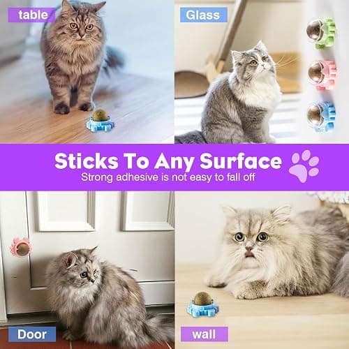 Kadays Catnip Balls for Indoor Cats 4 Pack Wall Mounted Rotatable Cat Toys Teeth Cleaning and Stress Relief Adhesive Catnip Stick on Wall Toys Interactive Chew for Kittens Play Entertainment thumbnail 3