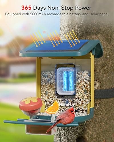 Nafnti 2K Smart Bird Feeder with Camera, Solar Powered, AI Identify 10,000+ Birds, 1.8L Capacity, IP65 Waterproof, Squirrel Proof, Live View Alerts, Various DIY Addons, Gift for Bird Watching thumbnail 5
